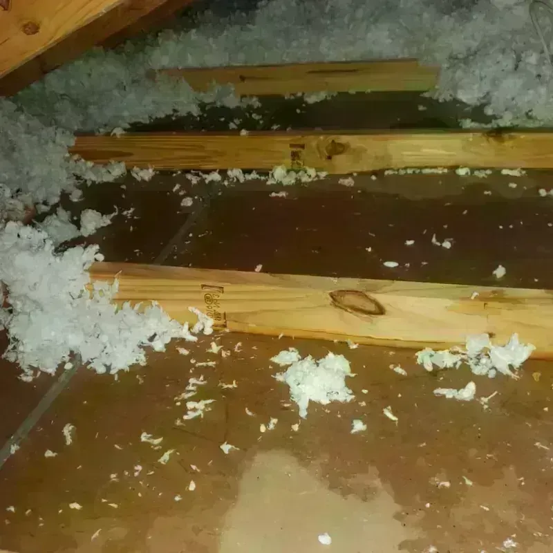 Attic Water Damage in Gilbert, AZ