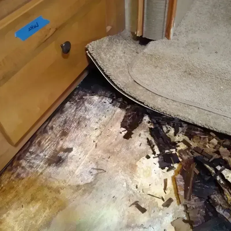 Best Wood Floor Water Damage Service in Gilbert, AZ